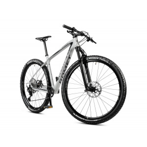 Bicycle Romet Monsun 3 2024 grey