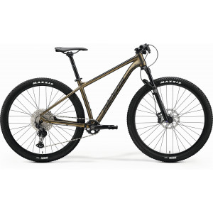Bicycle Merida Big.Nine XT-Edition IV1 silk sparkling gold(black)