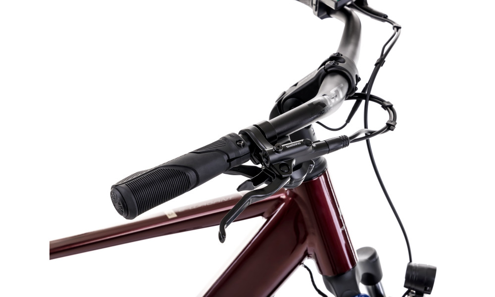 E-bike Romet e-Wagant 1.0 504WH 2025 bordo - 5