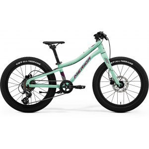 Велосипед Merida Matts J. 20+ I2 matt mint(purple-wht-blk)