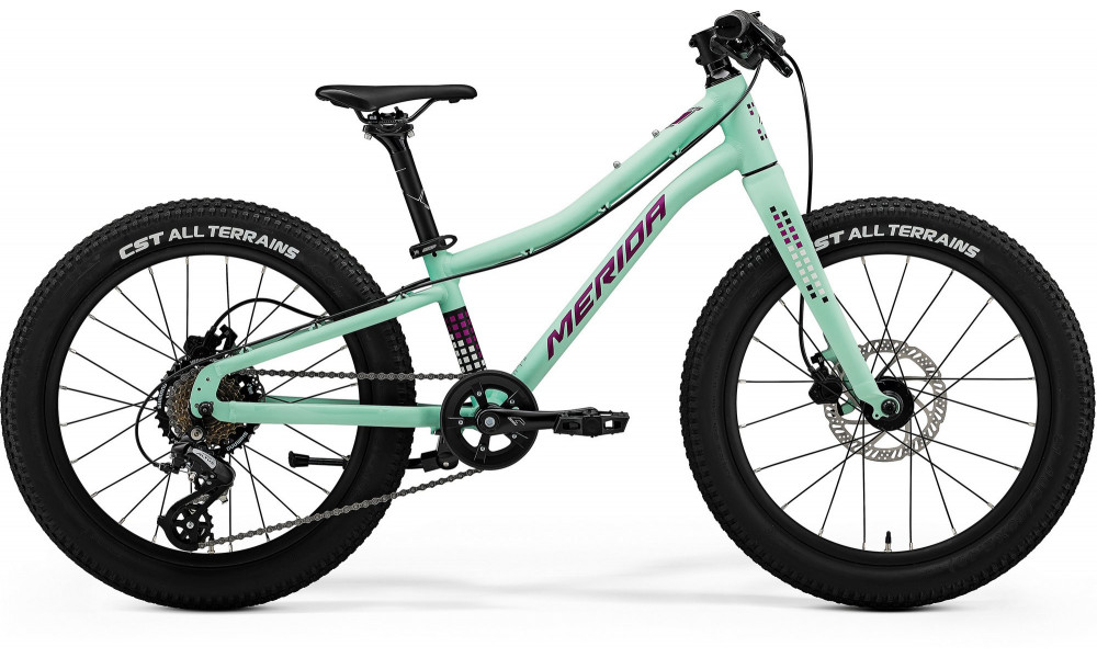 Велосипед Merida Matts J. 20+ I2 matt mint(purple-wht-blk) 