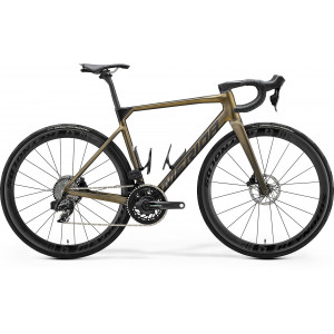 Bicycle Merida Scultura 9000 V2 silk sparkling gold(black)