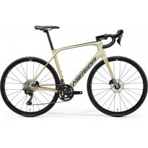 Bicycle Merida Scultura Endurance GR 5000 II1 silk champagne(black-blue)