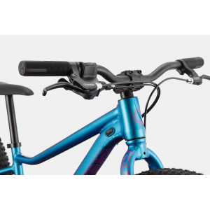 Bicycle Cannondale Kids Trail Plus 24" deep teal