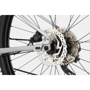 Велосипед Cannondale Trail 29" SL 4 Womens purple