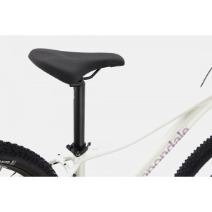 Велосипед Cannondale Trail 29" 7 Womens iridescent