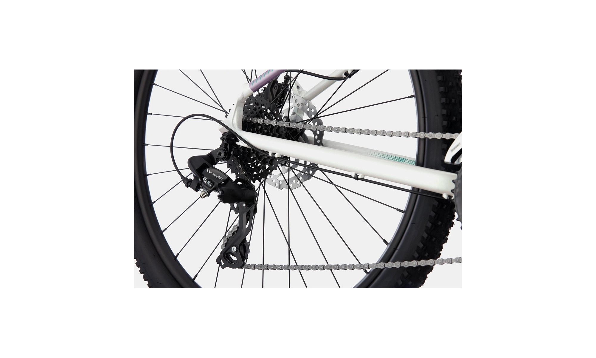 Bicycle Cannondale Trail 29" 7 Womens iridescent - 4