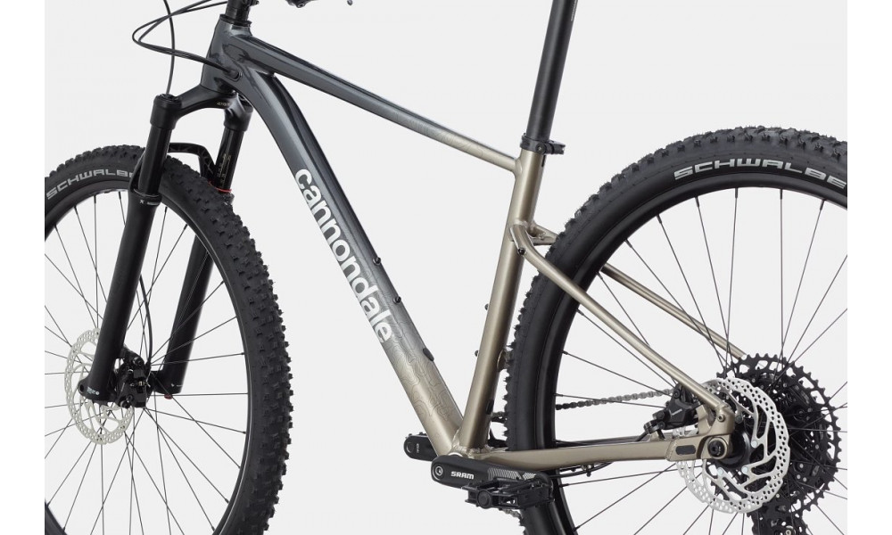 Bicycle Cannondale Trail 29" SL 1 stealth grey - 3