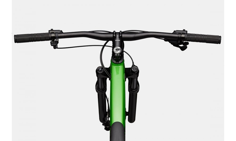 Bicycle Cannondale Trail 29" SL 3 green - 5