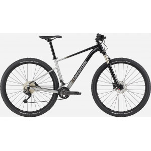 Bicycle Cannondale Trail 29" SL 4 charcoal gray
