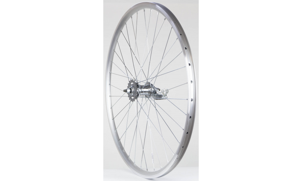 Rear wheel 28" Velosteel single speed hub, DoubleWall silver rim 