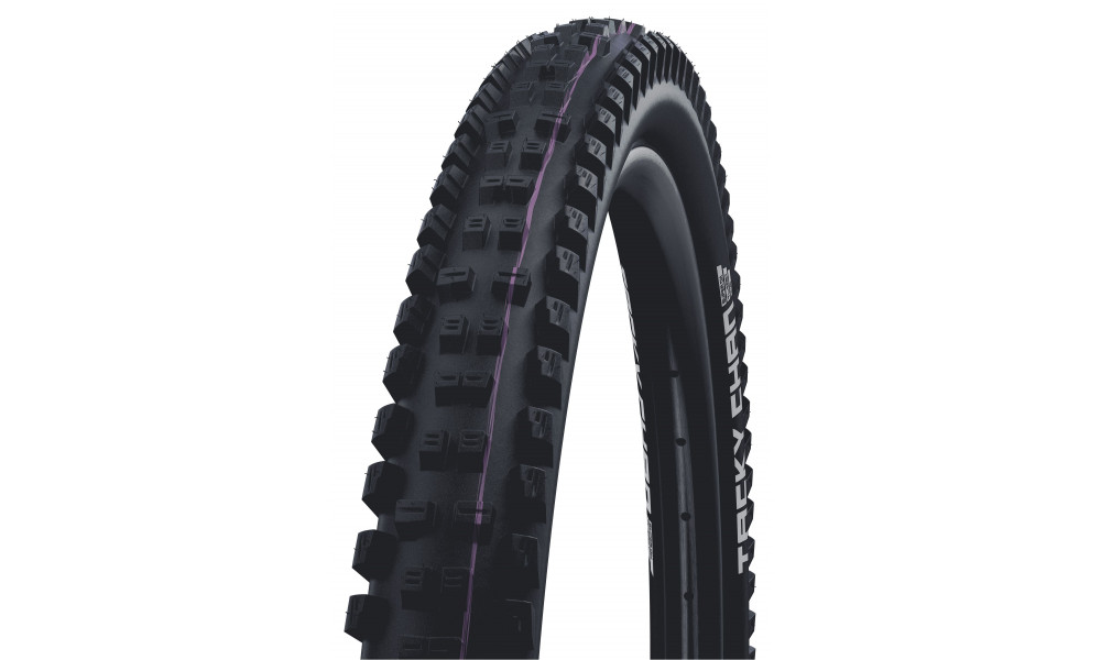 Шина 29" Schwalbe Tacky Chan HS625, Evo Fold. TLE 62-622 / 29x2.40 Super Downhill - 1