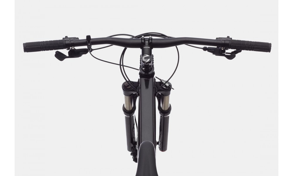 Bicycle Cannondale Trail 29" SL 4 charcoal gray - 6