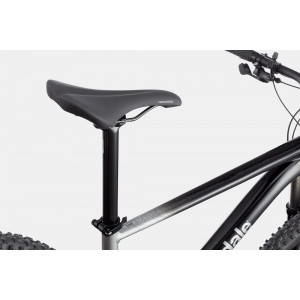 Велосипед Cannondale Trail 29" SL 4 charcoal gray