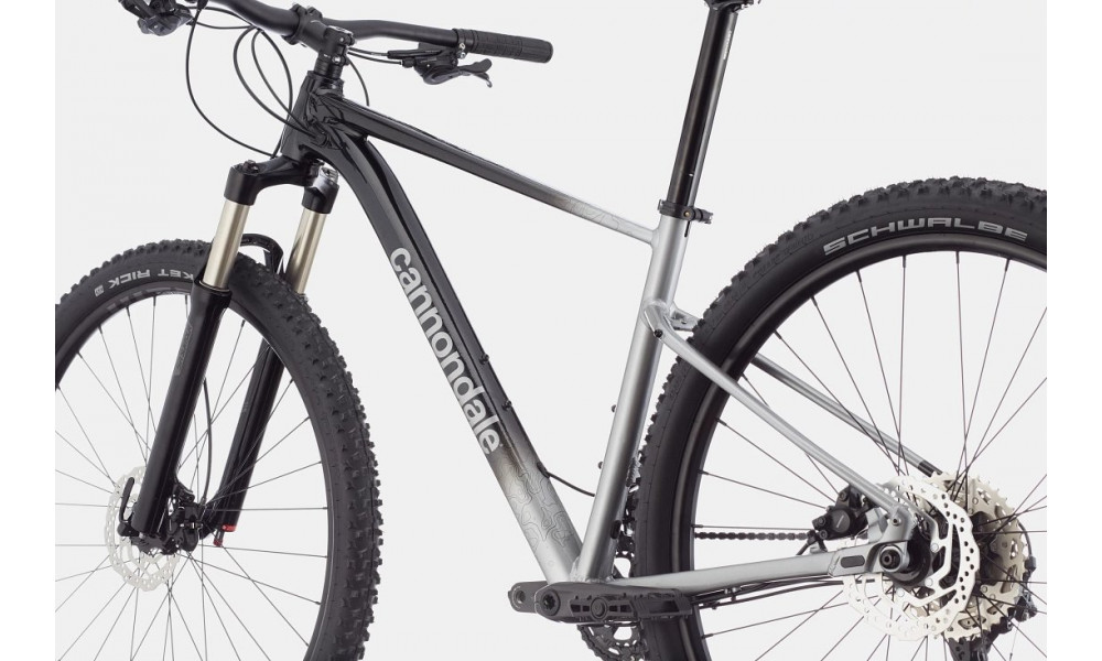 Bicycle Cannondale Trail 29" SL 4 charcoal gray - 3