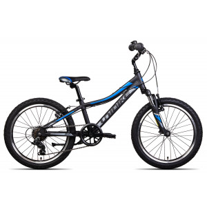 Bicycle Unibike Pilot 20 2024 black-blue
