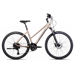 Bicycle Unibike Viper LDS 2024 titan