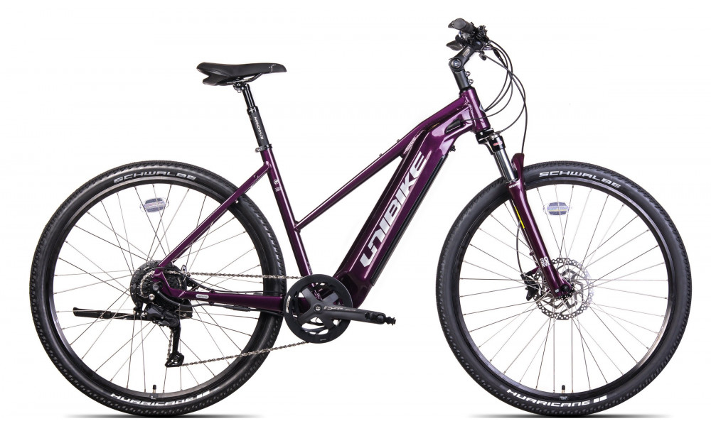 E-bike Unibike Falcon LDS 2024 burgund 