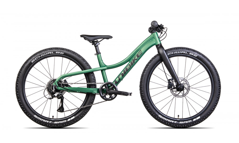 Āåėīńčļåä Unibike Rock 24 2024 green 