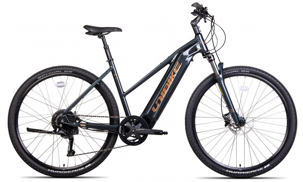 Электрический велосипед Unibike Falcon LDS 2024 black-17" 