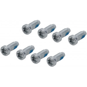 Crank bolt SRAM T20 for removable spider mounting (8 pcs.)