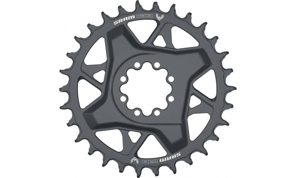 Chainring SRAM GX Eagle T-Type D1 Direct Mount 3mm offset 30T grey 