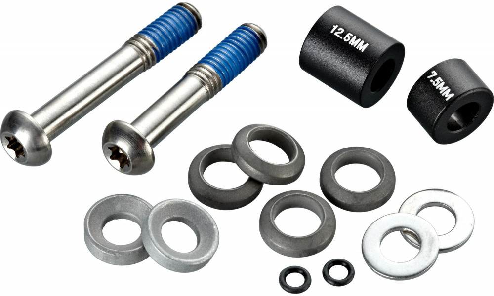 Disc brake caliper fixing bolts Avid titanium T25 front 180mm/rear 160mm PM 20mm CPS set 