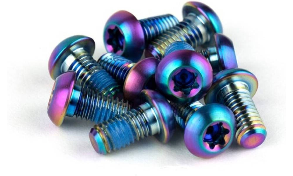 Brake rotor fixing bolts SRAM titanium T25 rainbow (12 pcs.) 