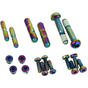 Disc brake lever fixing bolts SRAM Upgrade Kit for G2 ULT/RSC rainbow CPS