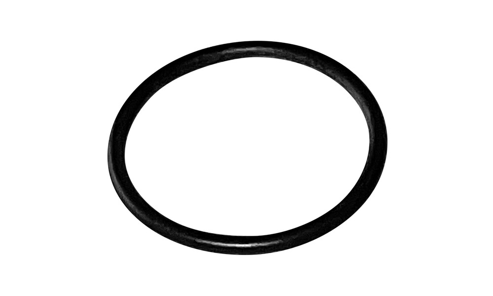 Seal Bosch O-ring for charging socket PowerTube 24x2 (MY2022) 