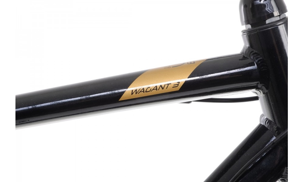 Bicycle Romet Wagant 3 28" 2022 black-gold - 2