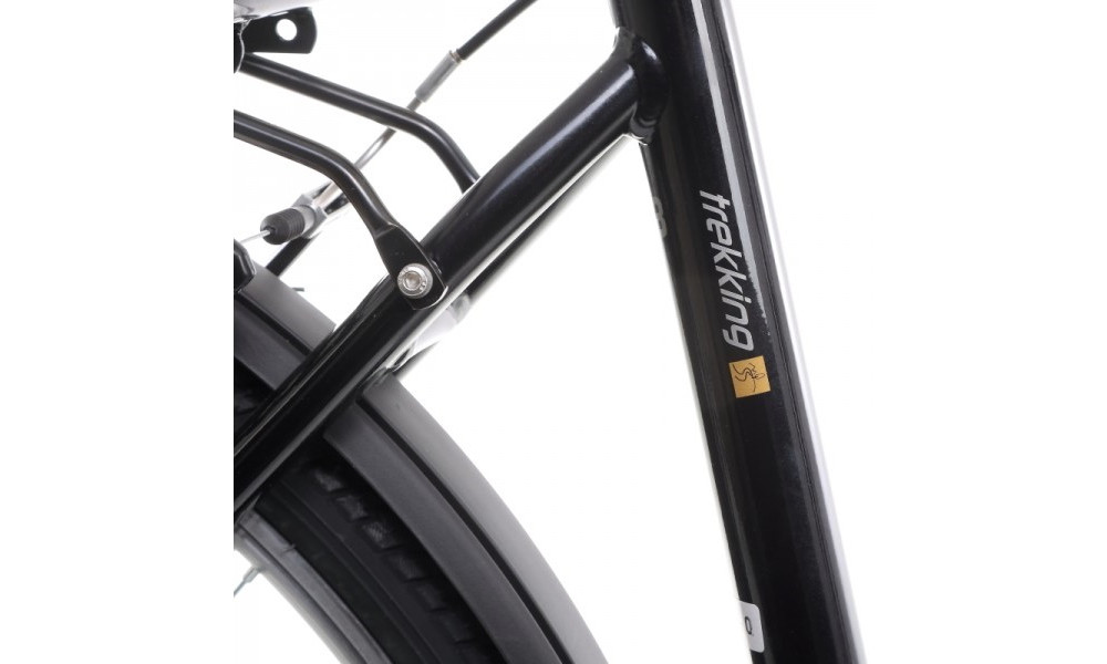 Bicycle Romet Wagant 3 28" 2022 black-gold - 14