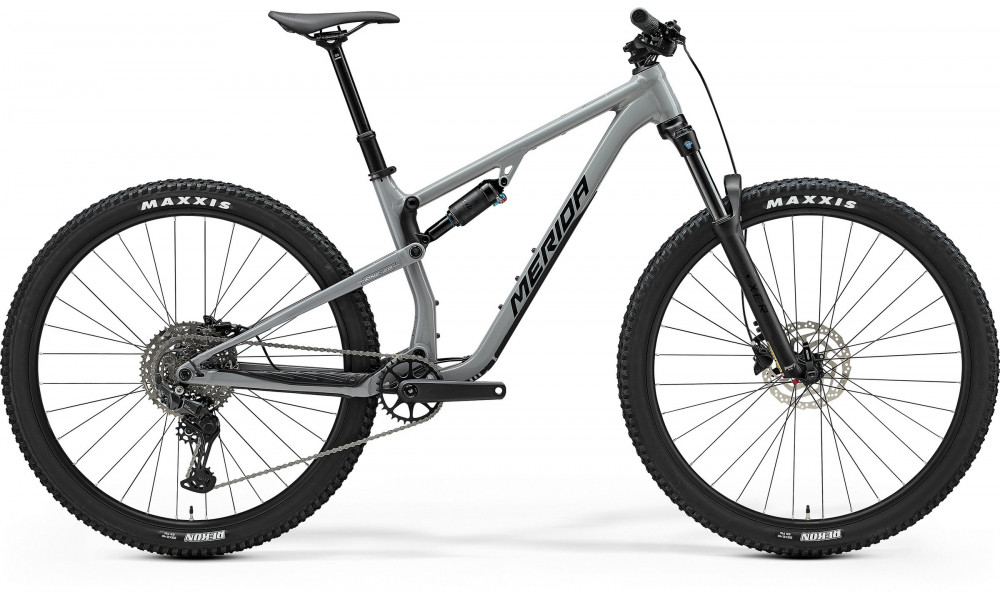 Bicycle Merida One-Twenty 300 V1 cool grey(black/silver) 