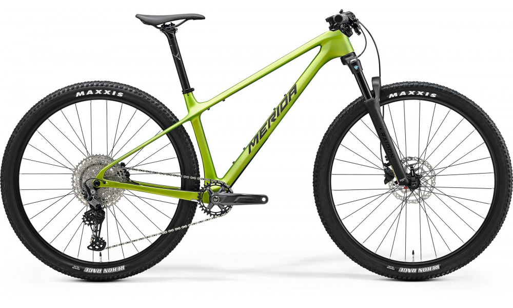 Bicycle Merida Big.Nine 3000 III1 matt fall green(blk/slv-grn) 