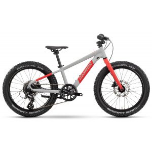 ????????? Raymon Yanga 20 Pro 2025 grey-red