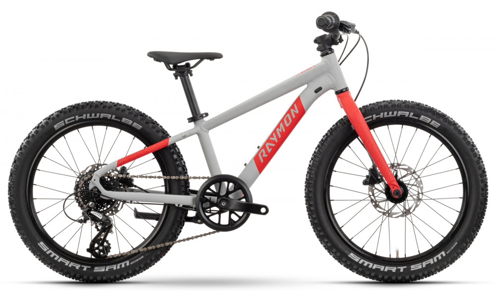 Bicycle Raymon Yanga 20 Pro 2025 grey-red - 1