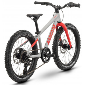 Bicycle Raymon Yanga 20 Pro 2025 grey-red