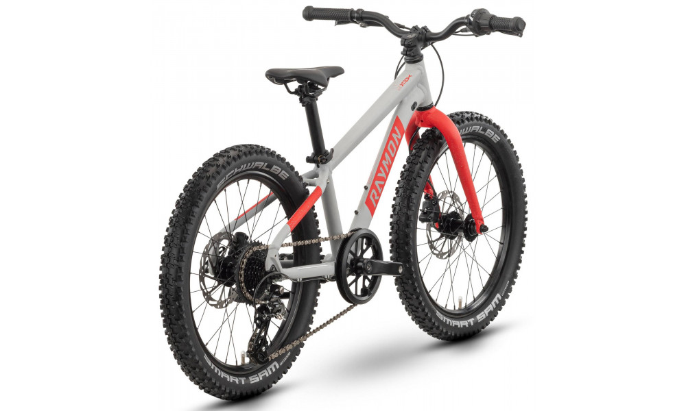 Bicycle Raymon Yanga 20 Pro 2025 grey-red - 2