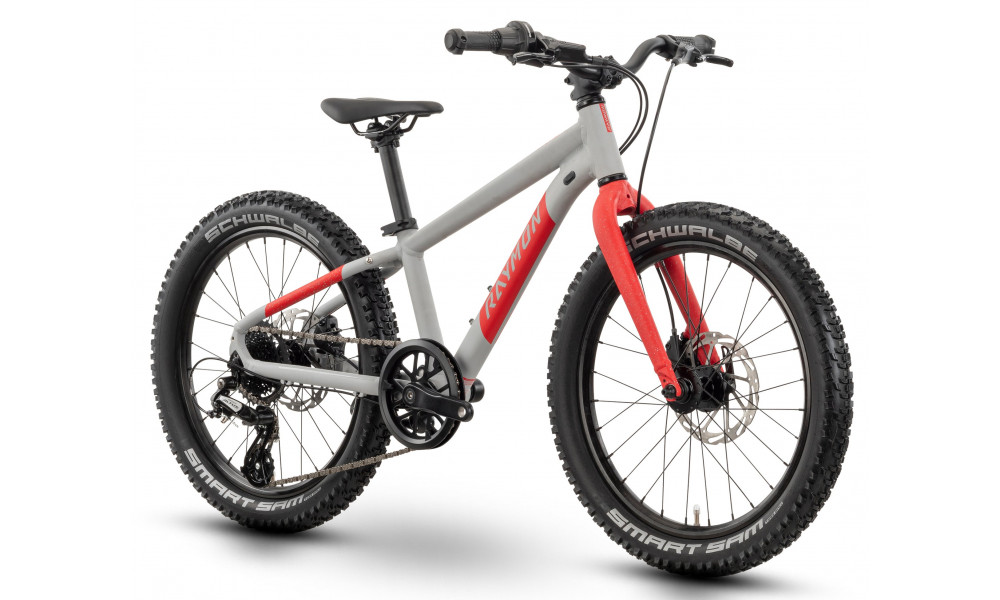 Bicycle Raymon Yanga 20 Pro 2025 grey-red - 3