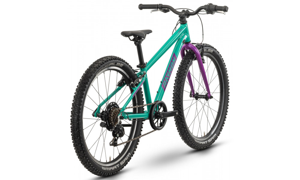 Велосипед Raymon Yanga 24 2025 green-purple - 2
