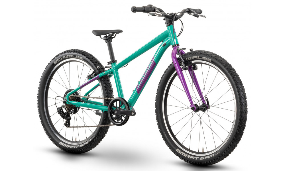 Велосипед Raymon Yanga 24 2025 green-purple - 3