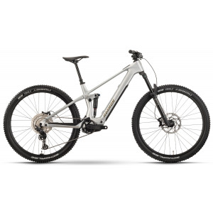 E-bike Raymon Airok 29" 2025 silver stealth-taupe