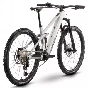 E-bike Raymon Airok 29" 2025 silver stealth-taupe