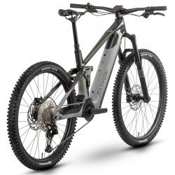 E-bike Raymon Tarok 29/27.5" 2025 grey sparkle-carbon-citron