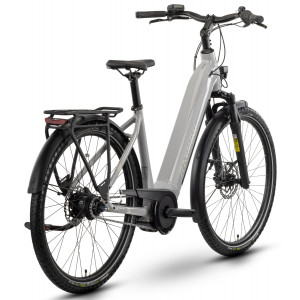 E-bike Raymon Metmo Select FW 27.5" 2025 timeless-moss