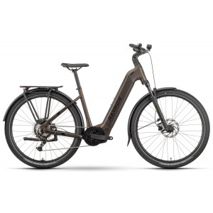 E-bike Raymon Tahona 600 29" 2025 Easy Entry tenmoku-black-honey