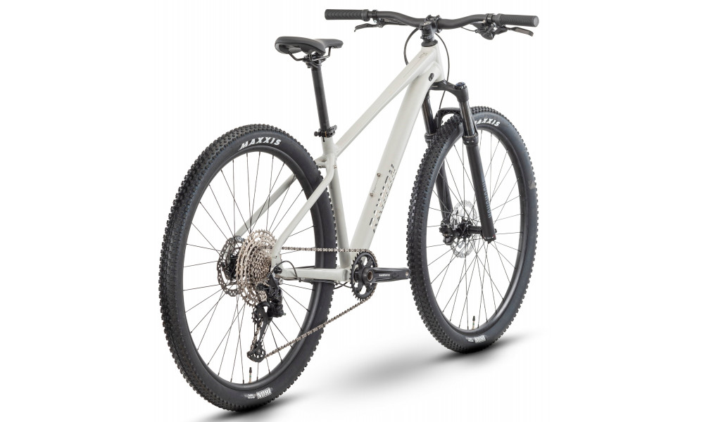 Велосипед Raymon Nayta Ultra 29" 2025 timelessgrey-chrome - 2
