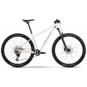 Bicycle Raymon Arid 29" 2025 saltwhite matt