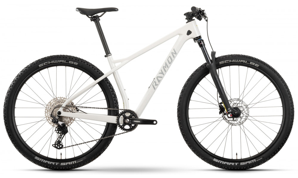 Велосипед Raymon Arid 29" 2025 saltwhite matt - 1