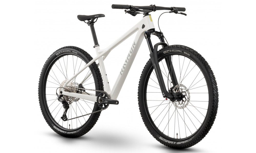 Bicycle Raymon Arid 29" 2025 saltwhite matt - 3